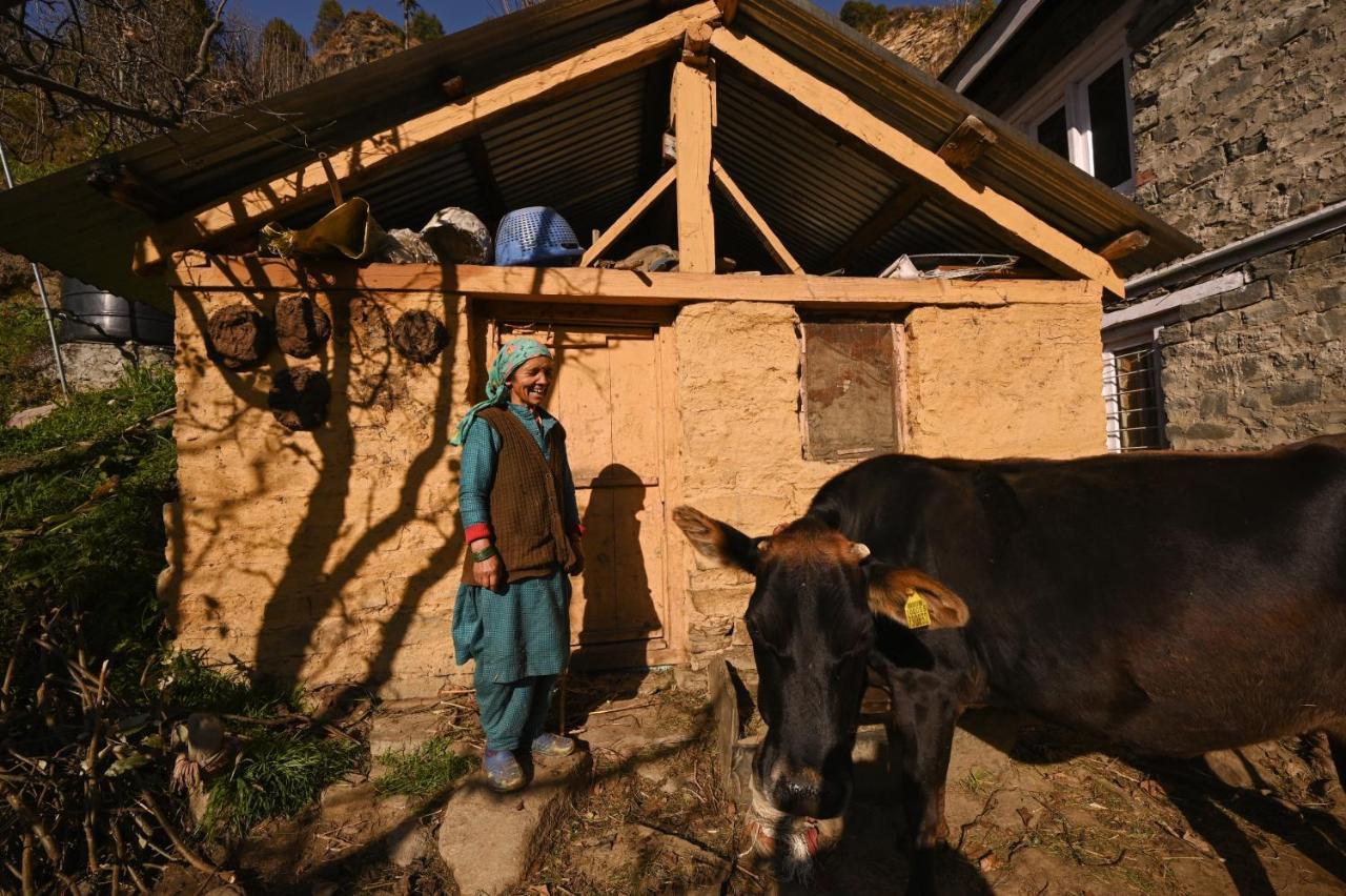 Hostel Zostel Dobhi, Manali Nagar  Exterior foto