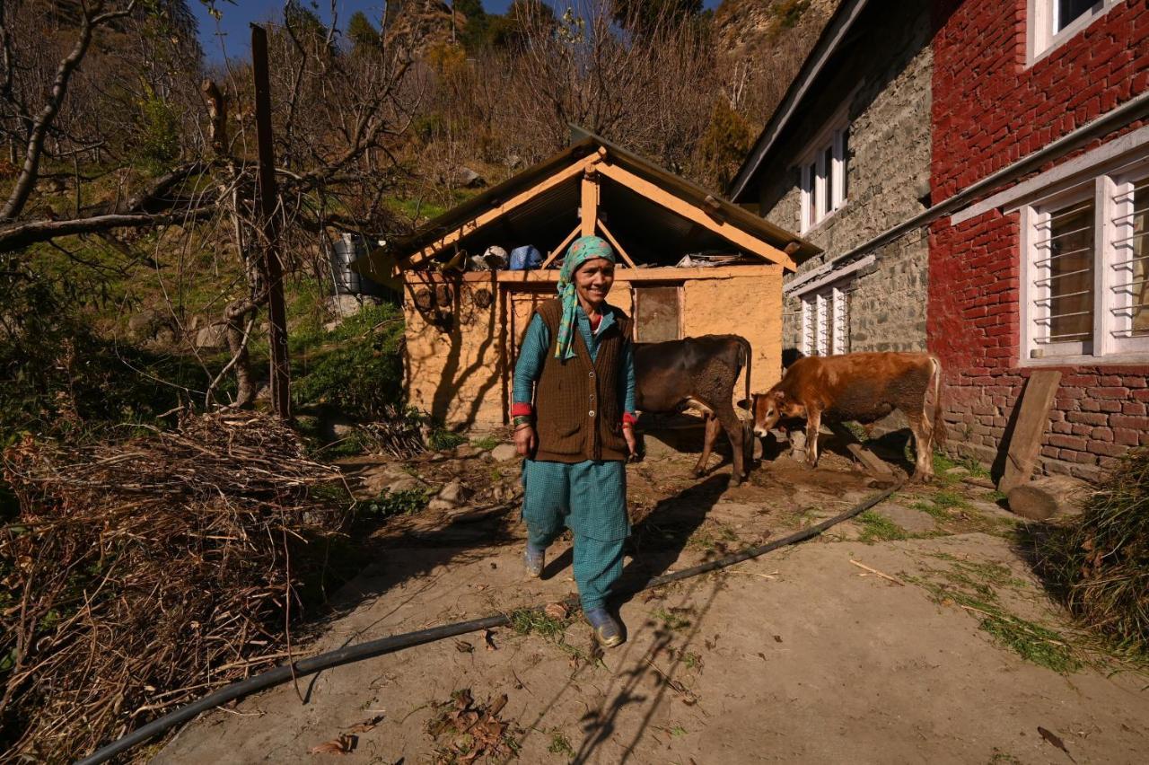 Hostel Zostel Dobhi, Manali Nagar  Exterior foto